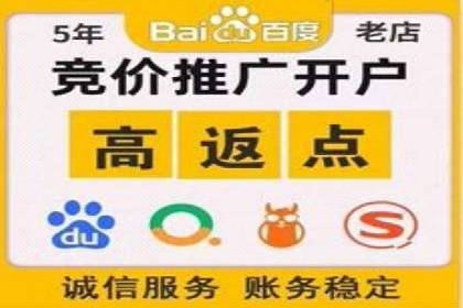 SEM代运营公司案例分析报告